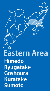 Eastern Area