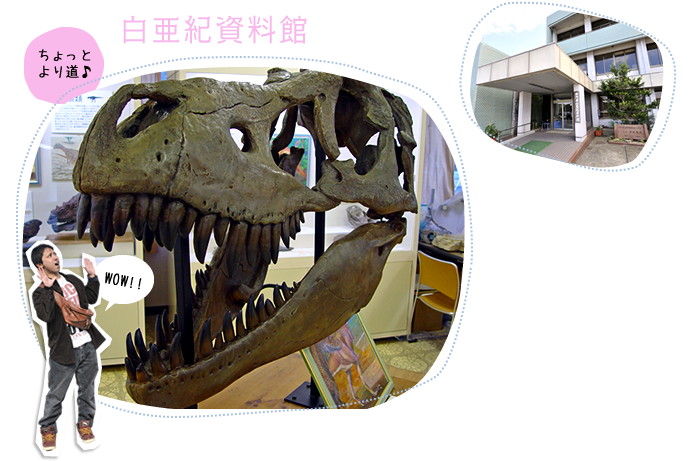 白亜紀資料館