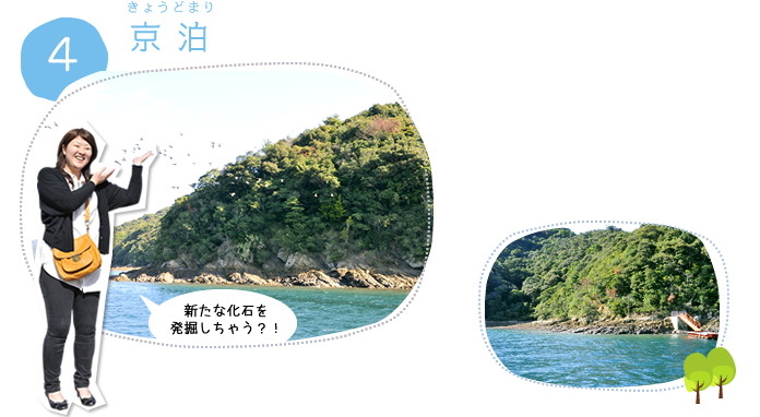 4.京泊