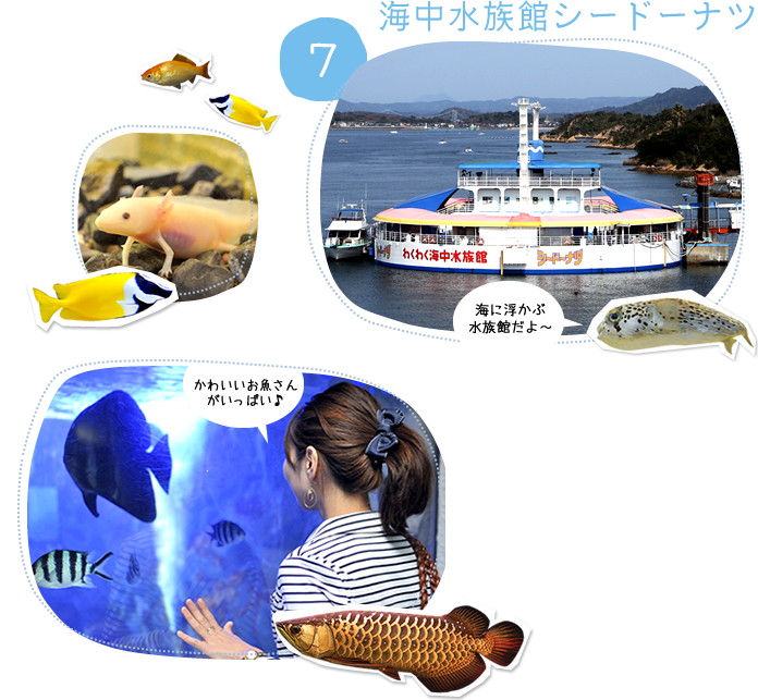 海中水族館シードーナツ