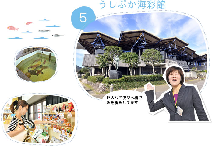 5.うしぶか海彩館