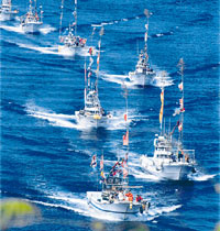 Fleet of fishing boats