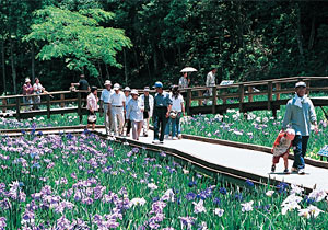 니시노쿠보 공원