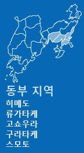 동부 지역