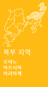 북부 지역