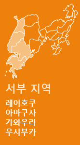 서부 지역