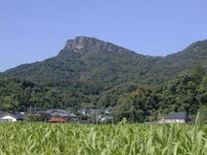 太郎丸岳