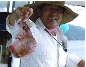 鯛釣りの様子
