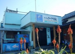 イルカ館