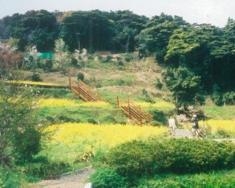 四季咲岬公園