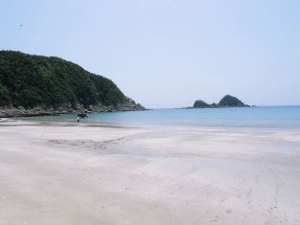 キャンプ場前のビーチの様子