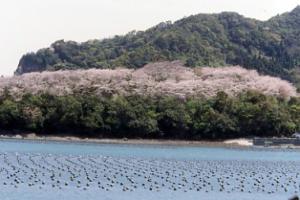 姫戸公園