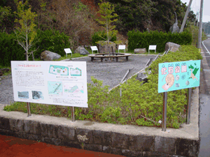 ニガキ化石公園