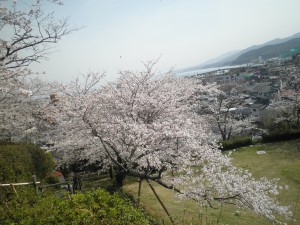 南公園