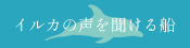 天草海鮮蔵 イルカウォッチング