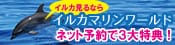 イルカマリンワールド