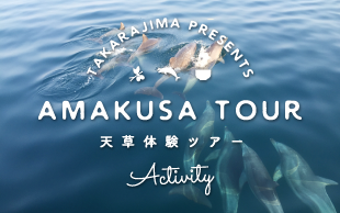 天草宝島観光協会女子スタッフおすすめの旅 天草ツアー