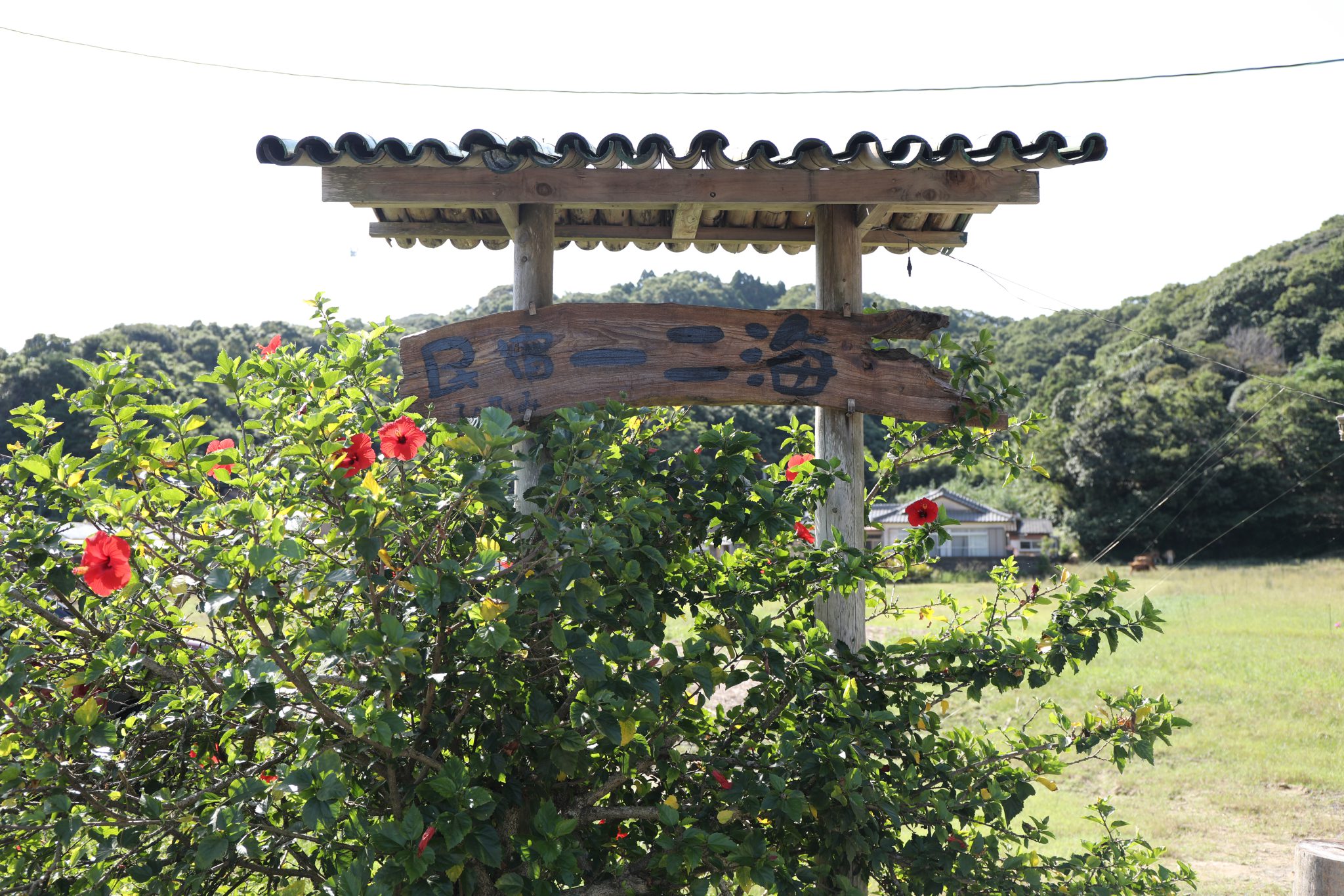 民宿一二海 - 熊本県天草観光ガイド