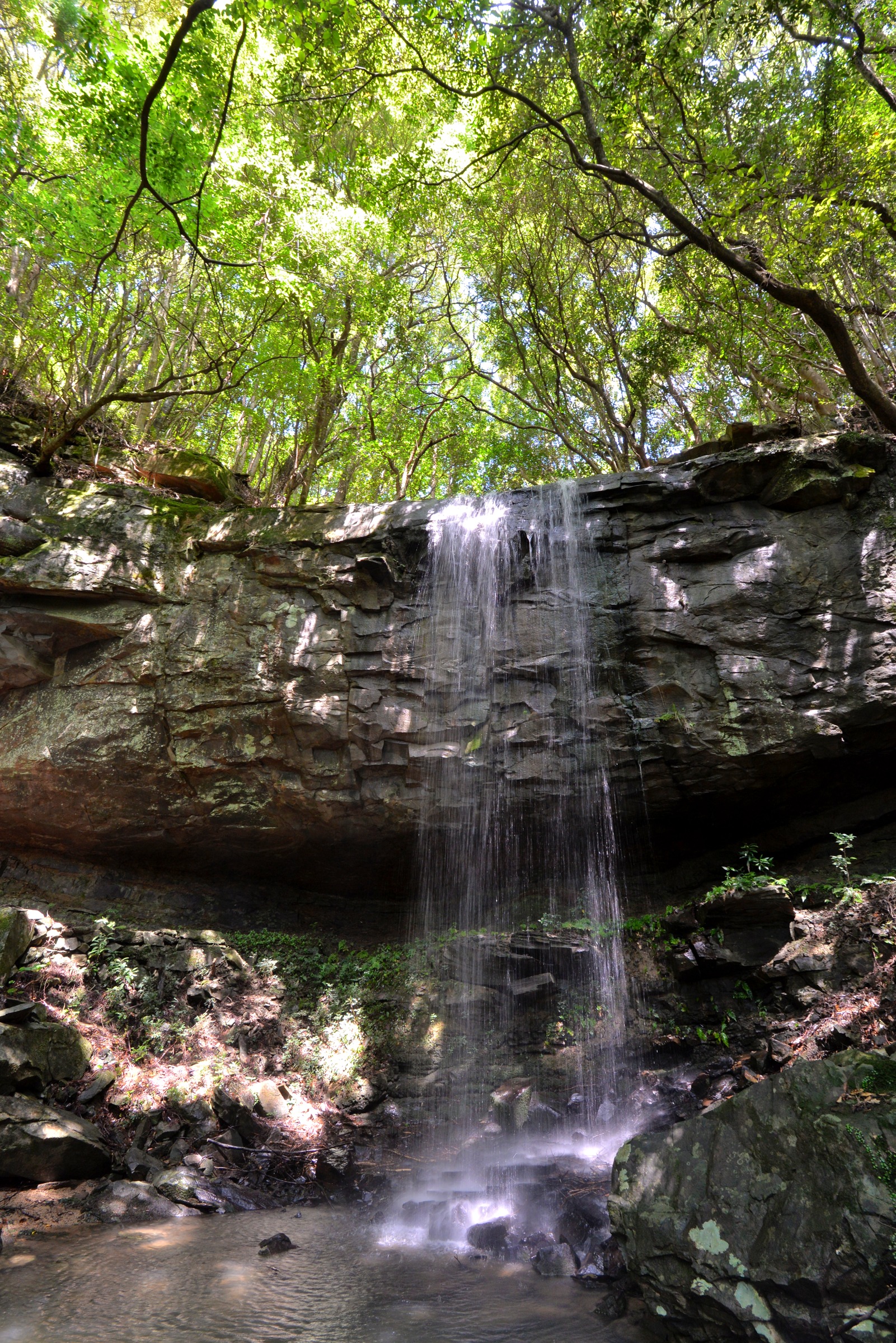 神掛けの滝 - 熊本県天草観光ガイド