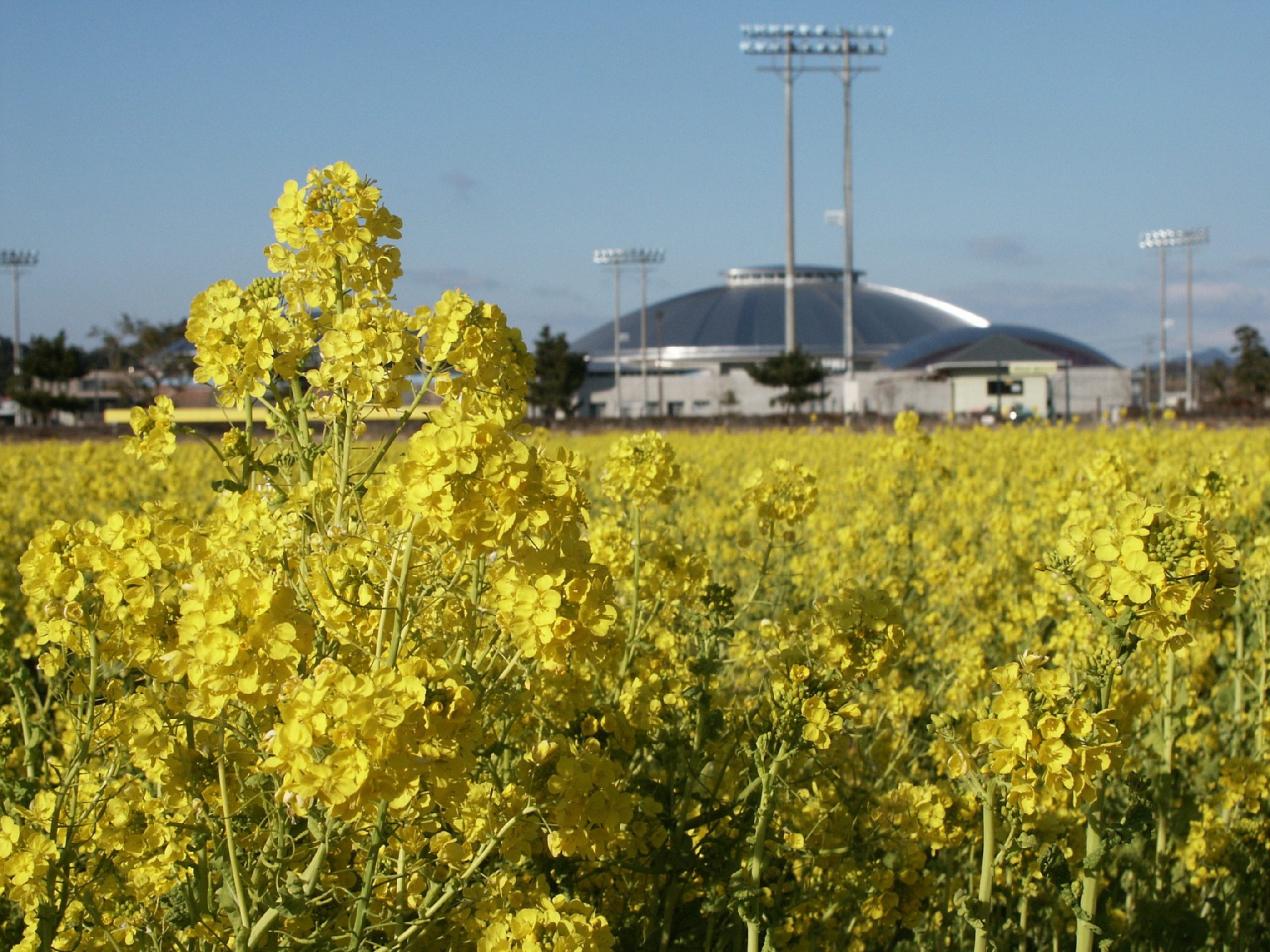 442ee0fa3f853937253704bd9e9074