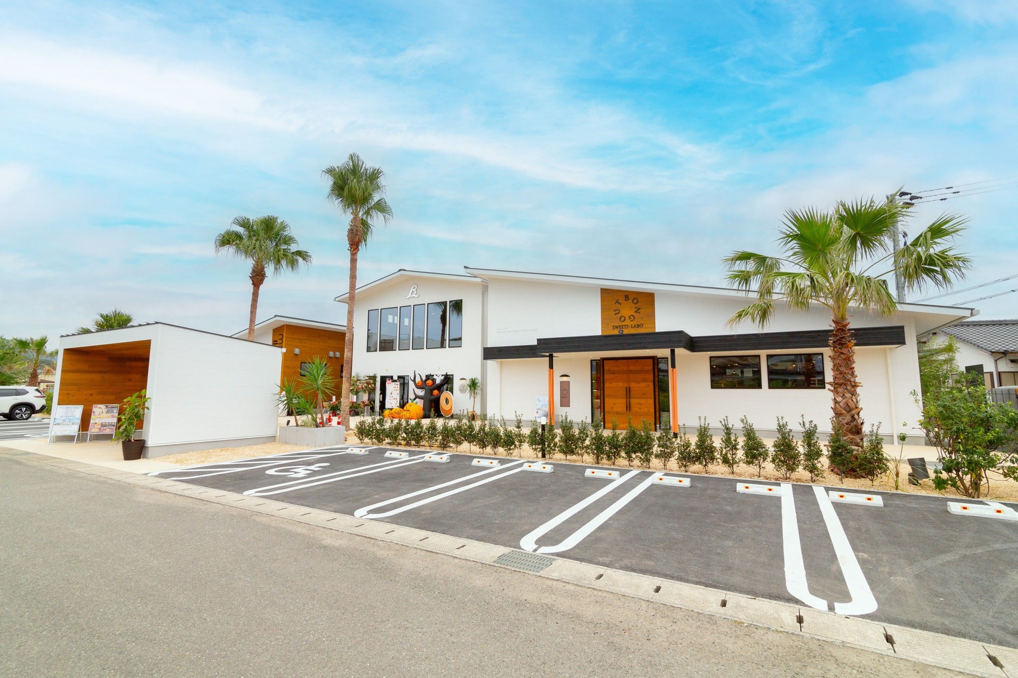 【クーポン使用可】旅人の木　13節　 超綺麗　ライト付属品有り スイーツラボボングー/ベーカリーキッチンスリーピース - 熊本県天草