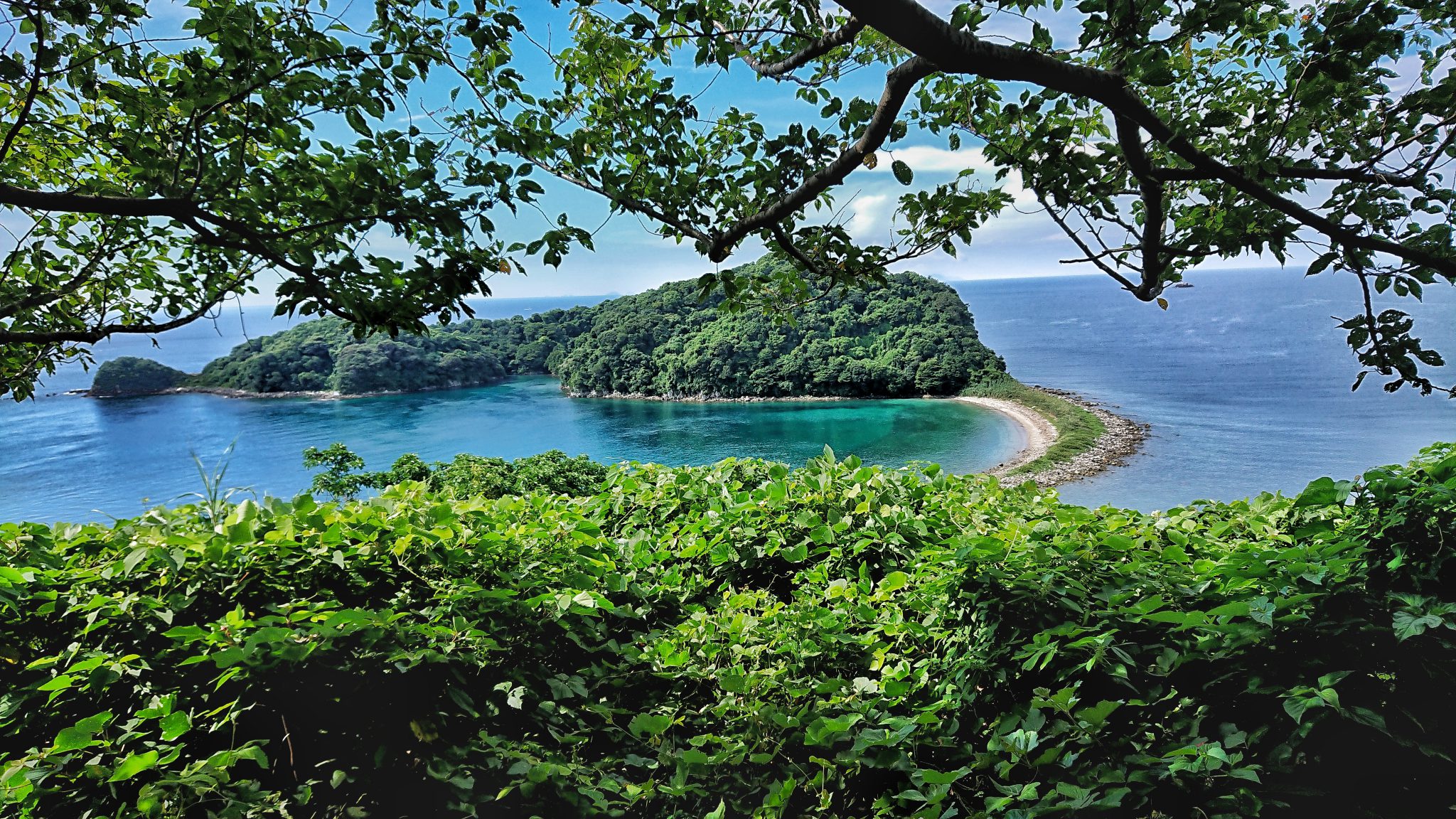 魚貫崎海水浴場 - 熊本県天草観光ガイド