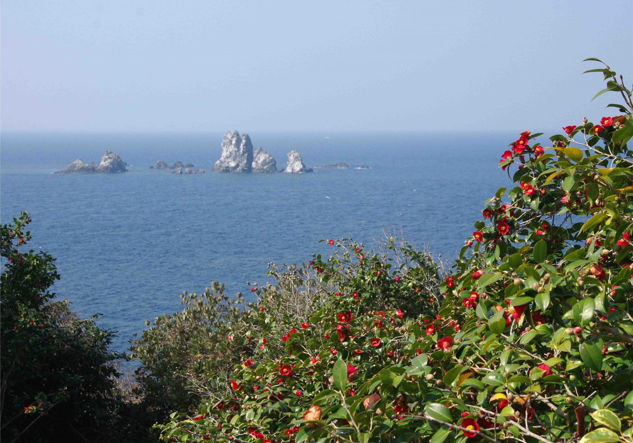 8d8abd8ca89977e78f6affba807e26