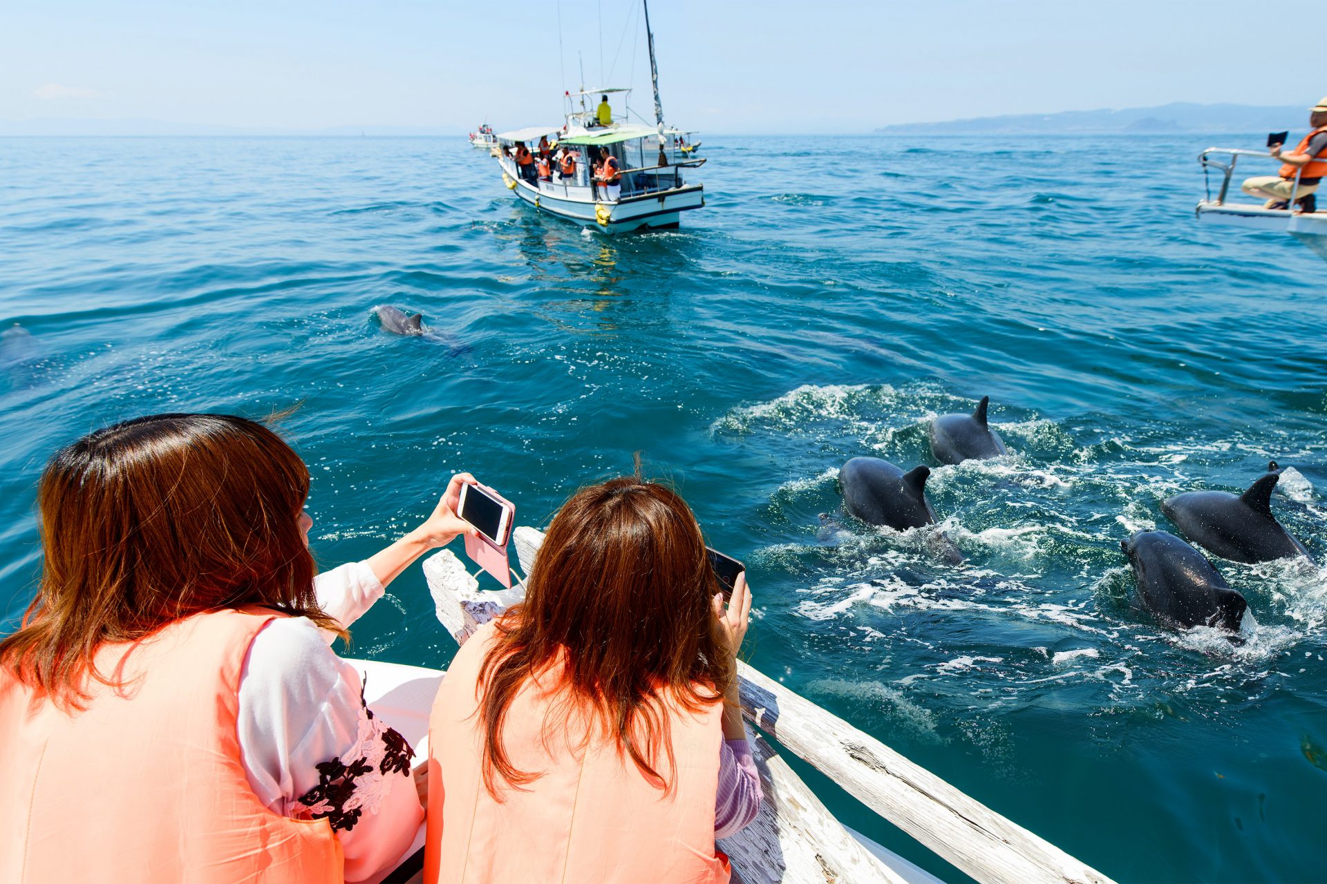 イルカ course_rent-a-car-1920x1280-1.jpg