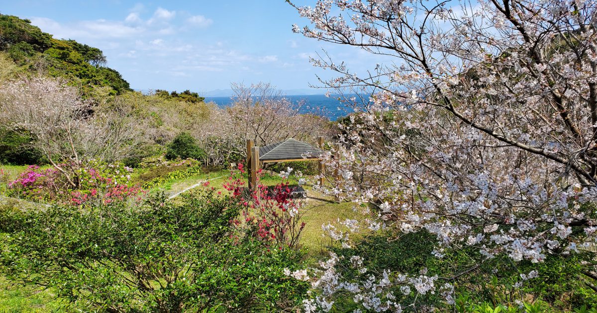 四季咲岬公園 - 熊本県天草観光ガイド