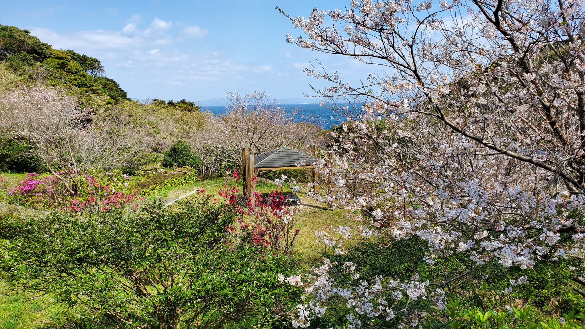 四季咲岬公園 - 熊本県天草観光ガイド