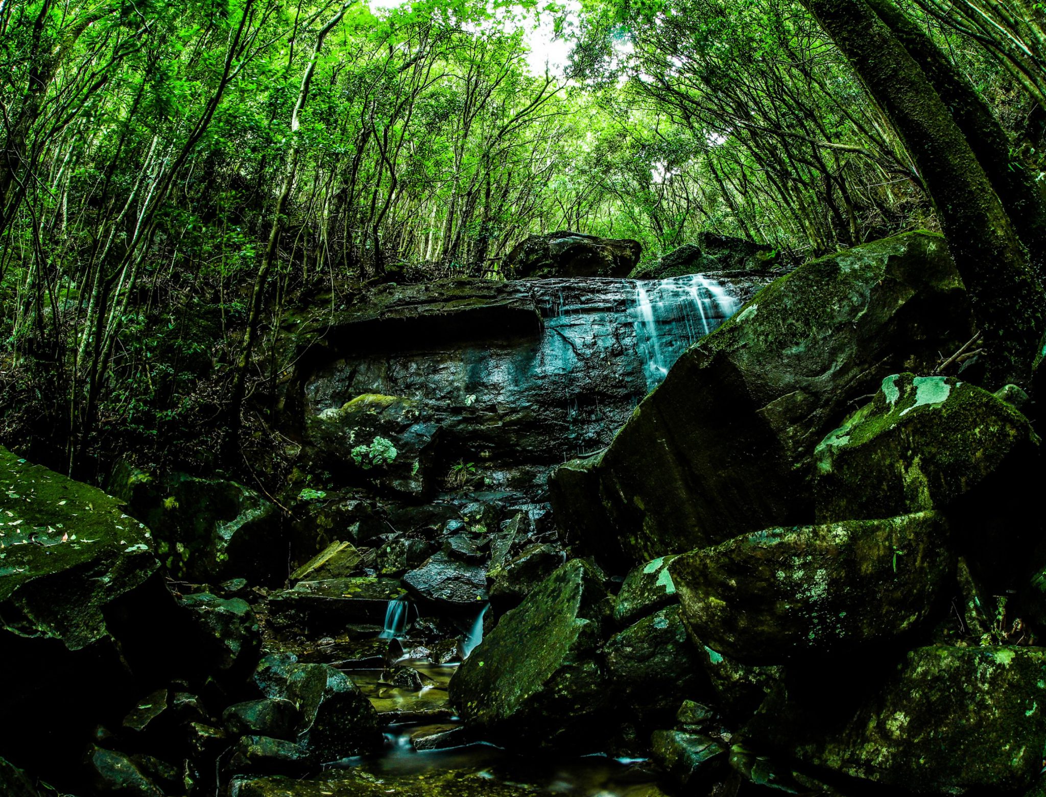 ac488792d44678a3484c8fa775dab2