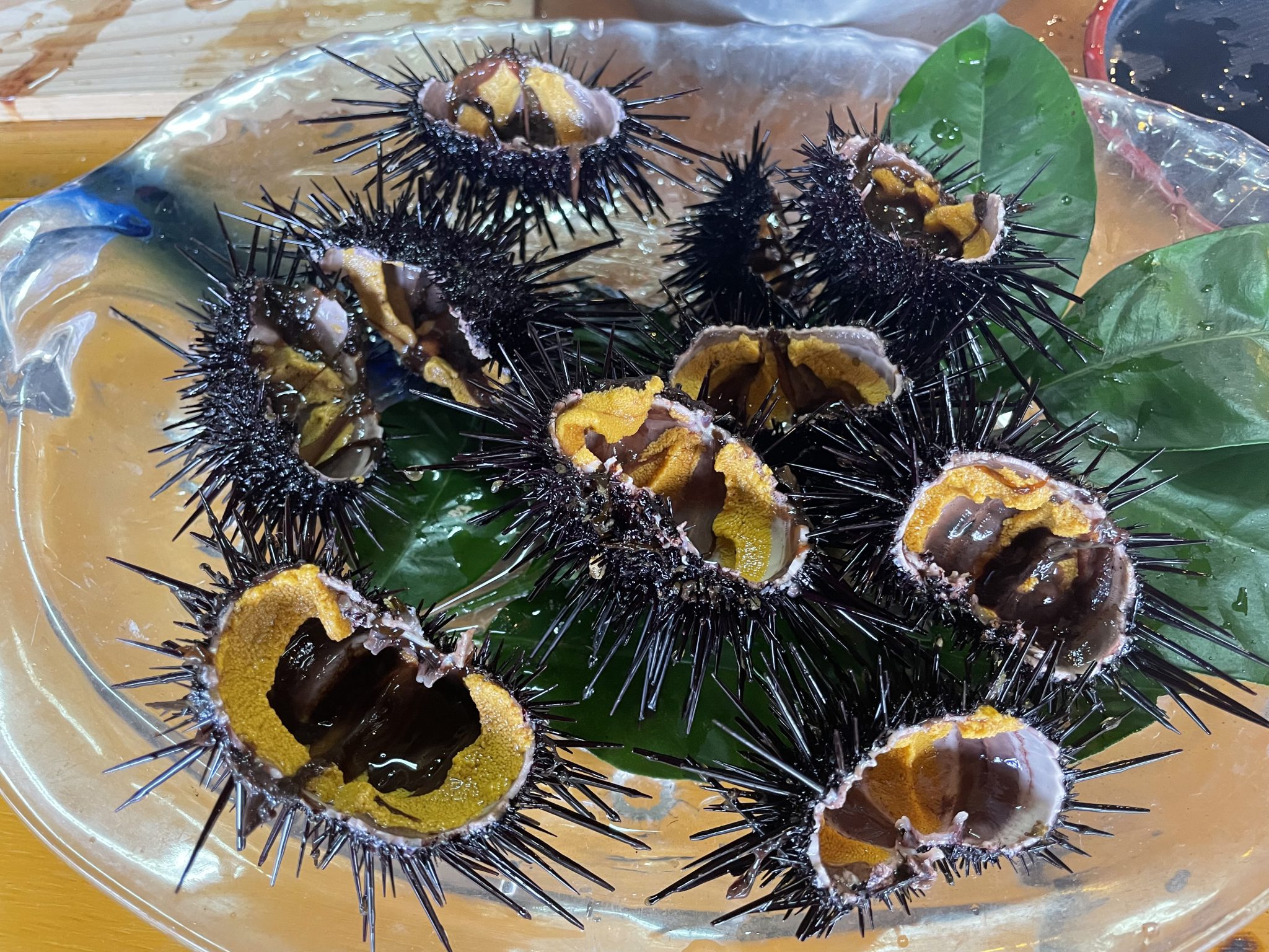 活きたウニ”でウニ丼作り体験？！ - 熊本県天草観光ガイド