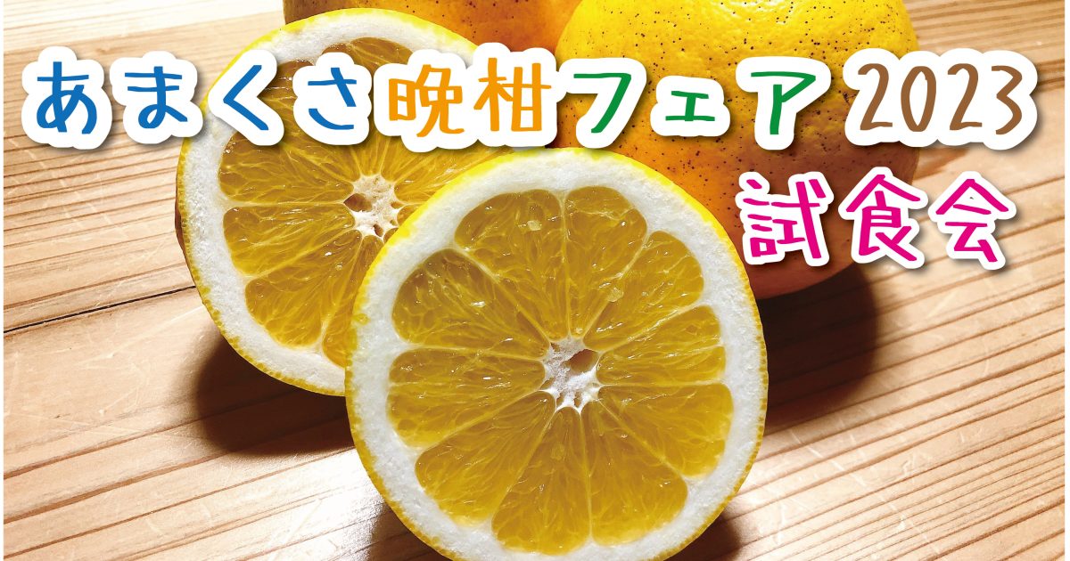あまくさ晩柑フェア2023 試食会 - 熊本県天草観光ガイド