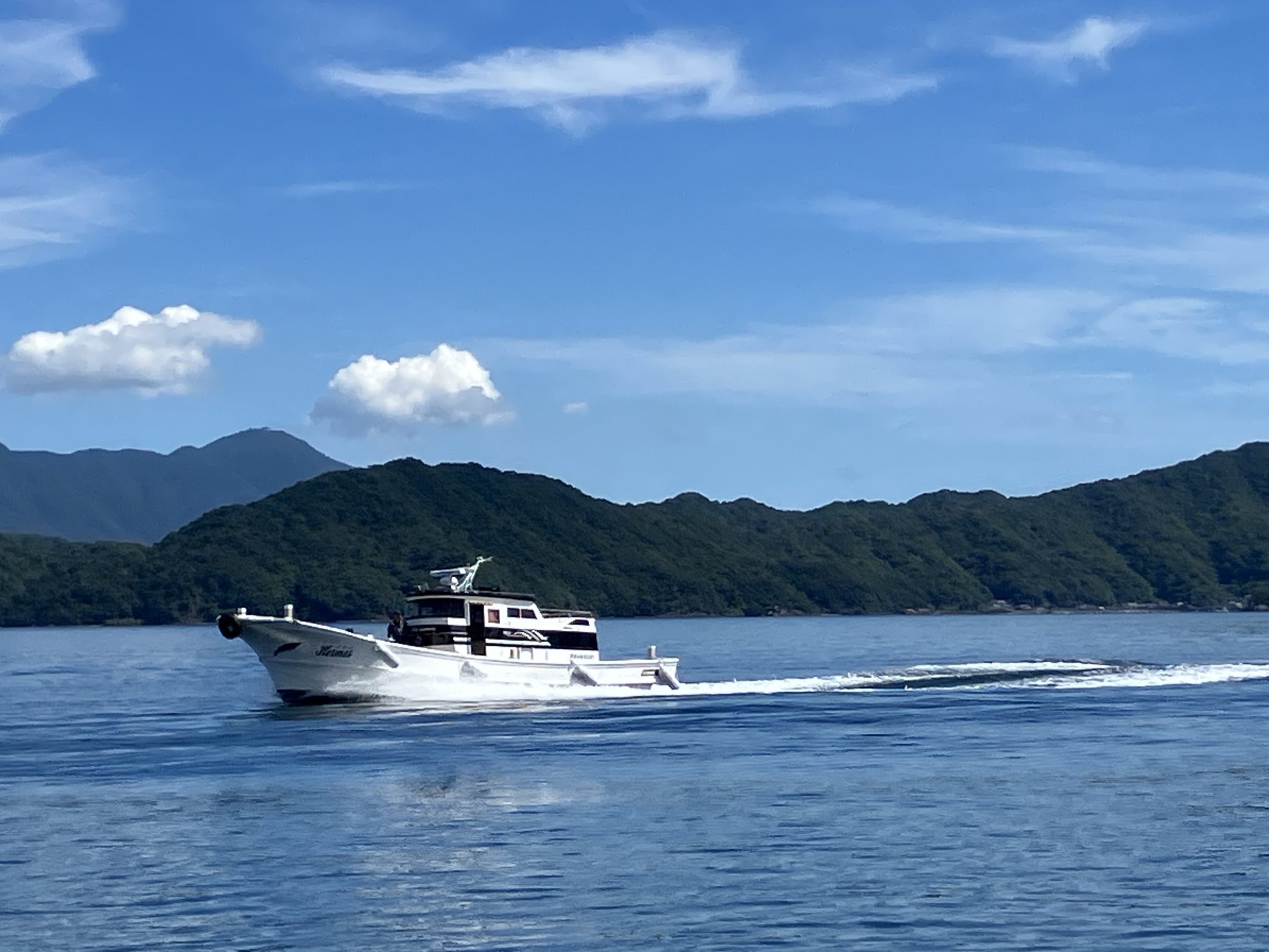 御所浦 化石採集クルージングの予約開始しました♪ - 熊本県天草観光ガイド