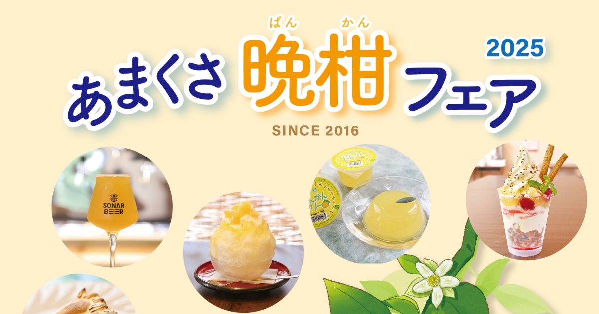 あまくさ晩柑フェア2025 試食会 - 熊本県天草観光ガイド