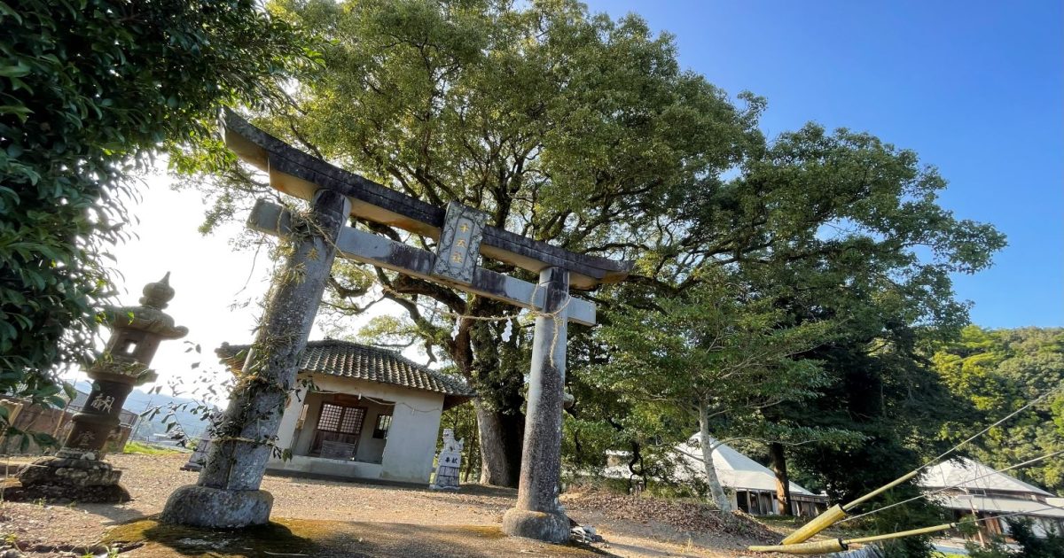 上野原神社大クス - 熊本県天草観光ガイド