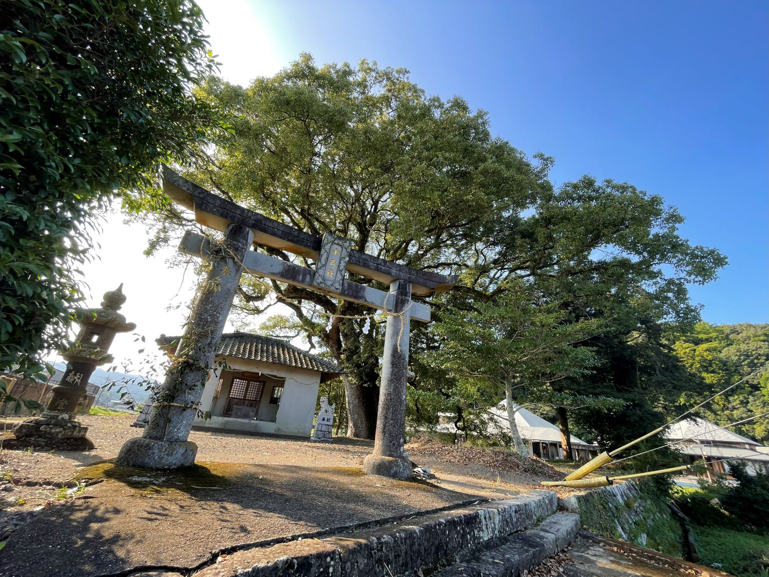 上野原神社大クス - 熊本県天草観光ガイド