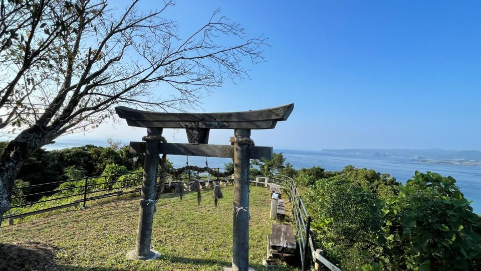 イルカクラブ - 熊本県天草観光ガイド